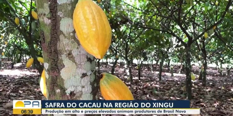 VÍDEOS: BDP de sexta-feira, 13 de junho de 2025