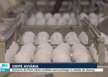 VÍDEOS: JL2 de quarta-feira, 4 de junho de 2025