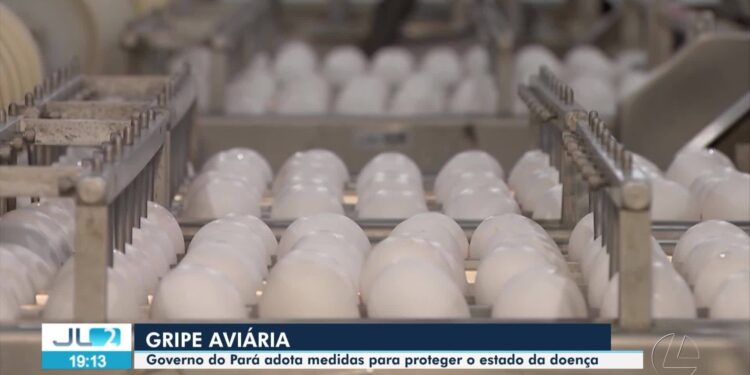 VÍDEOS: JL2 de quarta-feira, 4 de junho de 2025