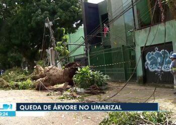 VÍDEOS: Jornal Liberal 2ª Edição de sábado, 7 de junho