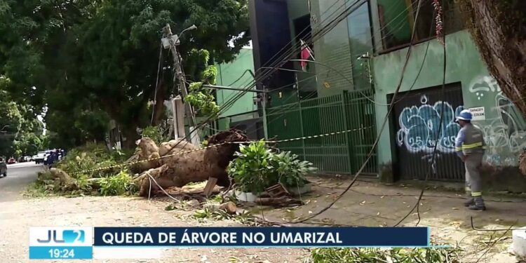 VÍDEOS: Jornal Liberal 2ª Edição de sábado, 7 de junho