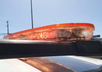 Assaltantes armados fazem reféns e roubam carga de cacau avaliada em R$ 150 mil no interior do Pará | Pará