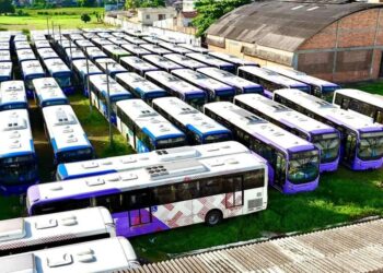 BRT Metropolitano: novos veículos chegam a Belém e frota com 265 ônibus está completa | Pará