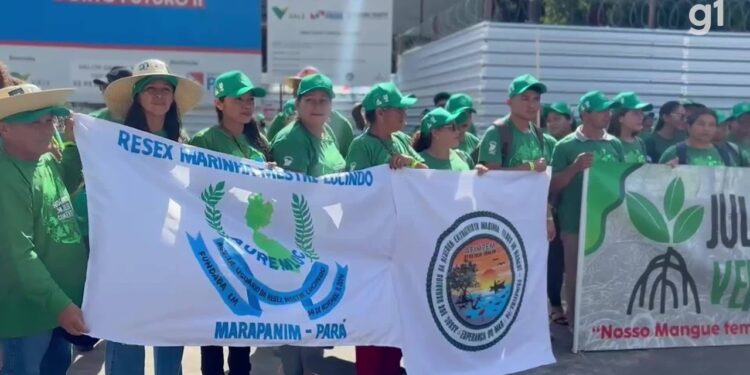 Belém realiza 2ª Marcha em Defesa dos Manguezais Amazônicos | Pará