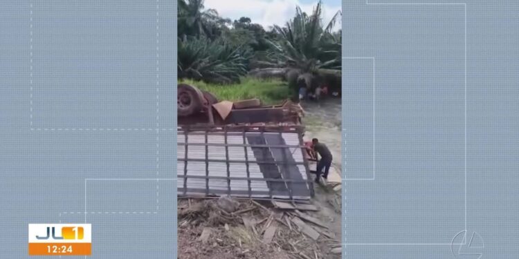 Carreta com bois tomba na PA-150 em Moju e deixa animais mortos