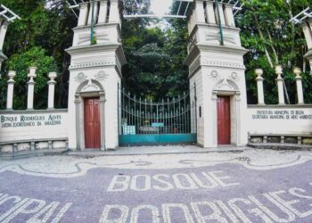 Como chegar de ônibus ao Bosque Rodrigues Alves em Belém | Belém