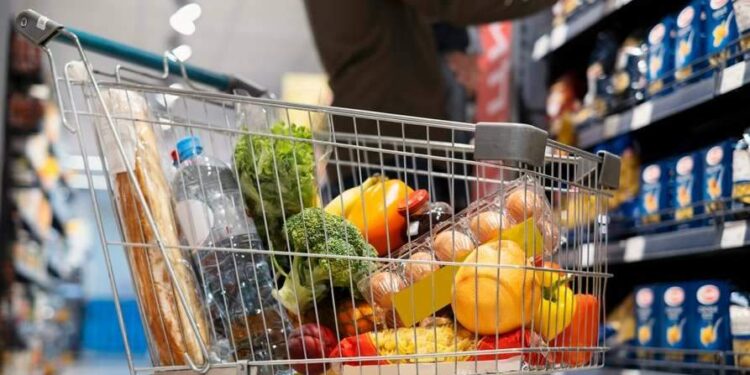 Custo da energia pressiona alimentos e indústria no Pará, alertam especialistas | Economia