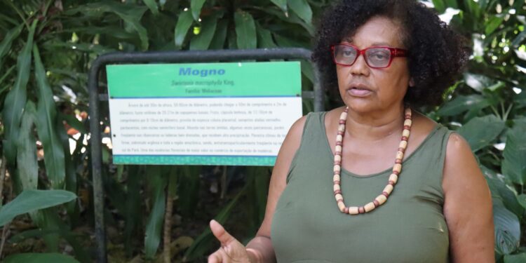 'Fazer ciência na Amazônia é um ato político': conheça Marlúcia Martins, cientista negra que escolheu a floresta como lugar de fala | Pará