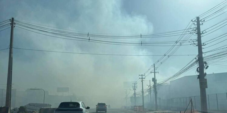 Fogo atinge loja em Ananindeua e provoca nuvem de fumaça na BR-316 | Polícia