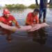 Golfinho preso em rede de pesca é resgatado por bombeiros na região do Xingu, no Pará | Pará