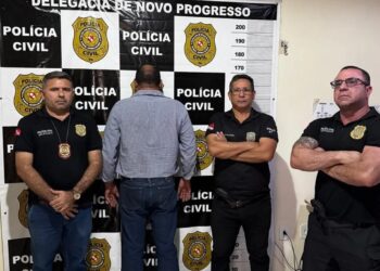 Homem é preso por desmatamento ilegal e tentativa de suborno no sudoeste do Pará | Pará