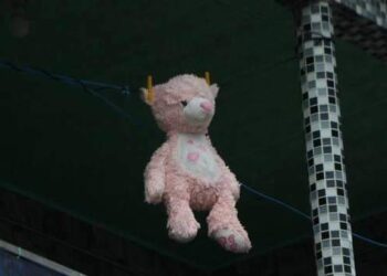 Idoso condenado por estupro em Rondônia é preso em Santarém | Polícia