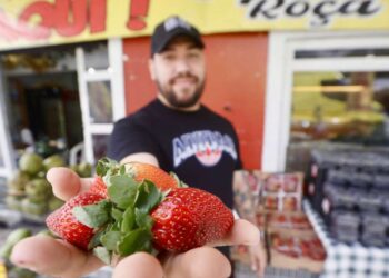 Inflação por demanda: entenda o conceito que atinge venda de morango em Belém após viral do TikTok | Economia