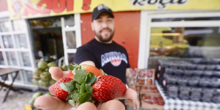 Inflação por demanda: entenda o conceito que atinge venda de morango em Belém após viral do TikTok | Economia