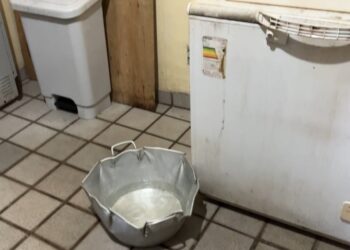 MPF alerta para cenário crítico em abrigos para população em situação de rua em Belém durante fiscalização para a COP30 | Pará