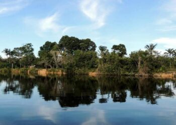 Mais de 11 milhões vivem em Unidades de Conservação no Brasil; Pará concentra 577 mil moradores | Pará