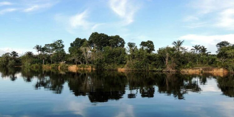 Mais de 11 milhões vivem em Unidades de Conservação no Brasil; Pará concentra 577 mil moradores | Pará