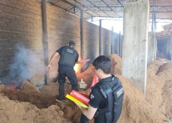 Mais de 120 kg de drogas são incinerados em ação da Polícia Civil no interior do Pará | Pará