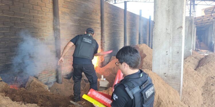 Mais de 120 kg de drogas são incinerados em ação da Polícia Civil no interior do Pará | Pará