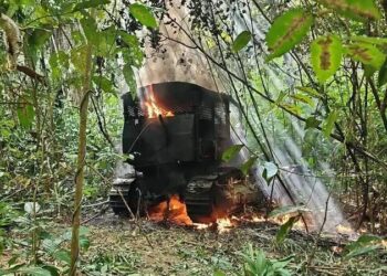 Mais de 90 prisões já foram realizadas em dois anos de Operação Curupira | Polícia