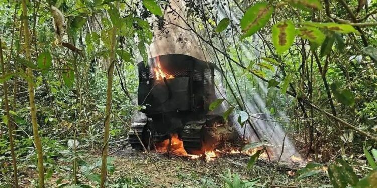 Mais de 90 prisões já foram realizadas em dois anos de Operação Curupira | Polícia