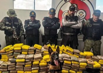 Mais de duas toneladas de drogas são apreendidas nas bases fluviais do Pará no primeiro semestre | Polícia