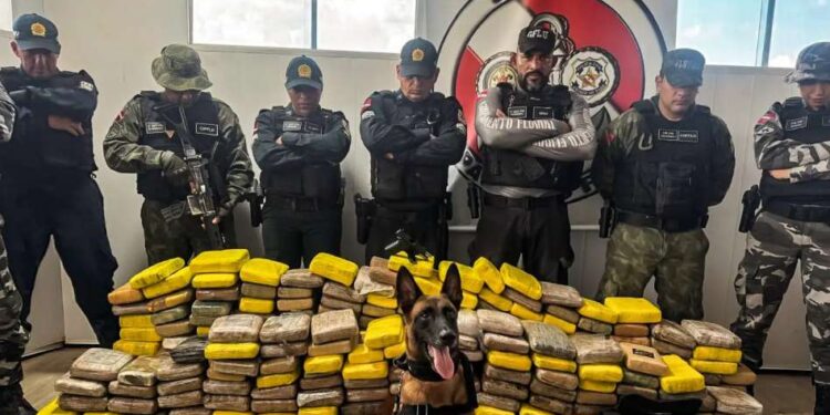 Mais de duas toneladas de drogas são apreendidas nas bases fluviais do Pará no primeiro semestre | Polícia