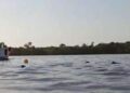 Marajó registra acidente entre rabeta e barco neste sábado (19). Uma pessoa teria ficado ferida. | Polícia