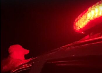 Mulher é presa após esconder drogas na fralda do próprio filho, no Marajó