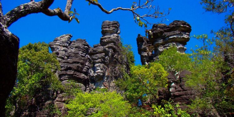 Nova trilha na Serra das Andorinhas, no Pará, promete aventura por cavernas, cachoeiras e floresta preservada | Pará