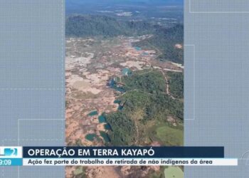 Operação contra garimpo ilegal na Terra Indígena Kayapó ultrapassa metas e causa prejuízo de R$ 97 milhões a garimpeiros, no Pará | Pará
