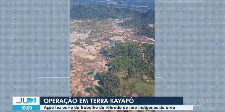 Operação contra garimpo ilegal na Terra Indígena Kayapó ultrapassa metas e causa prejuízo de R$ 97 milhões a garimpeiros, no Pará | Pará