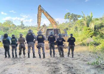 Operação destrói garimpo ilegal responsável por contaminar rios com mercúrio em Floresta Nacional do PA | Pará