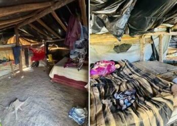 Operação resgata sete trabalhadores em condições análogas à escravidão no Pará | Polícia