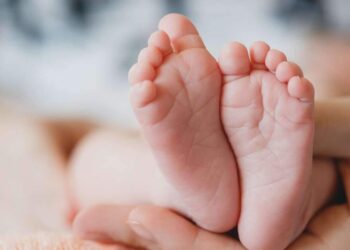 Paraense e casal carioca presos por tentarem adotar bebê ilegalmente tem prisão preventiva decretada | Polícia