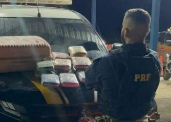 Passageira de ônibus é presa com 17 kg de 'supermaconha' durante viagem em Belterra | Polícia