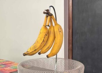 Pendurar banana dura mais? Entenda o mito e saiba se a técnica realmente funciona | Variedades