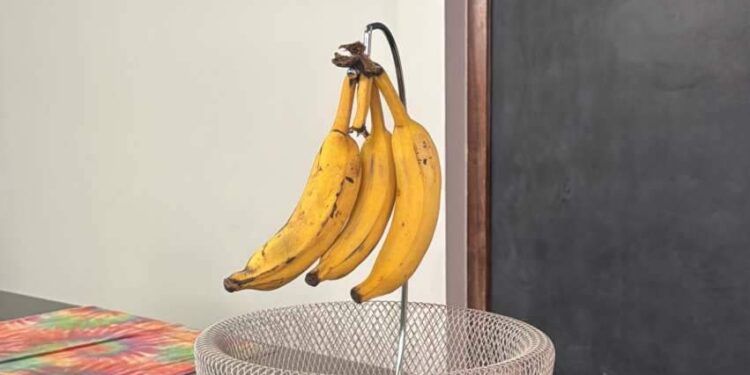 Pendurar banana dura mais? Entenda o mito e saiba se a técnica realmente funciona | Variedades