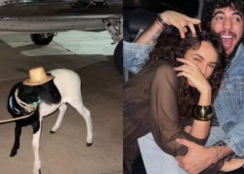 Rafa Kalimann se surpreende ao encontrar bode no carro: ‘Presente para a Zuza’ | Celebridades