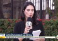 Sespa e Ophir Loyola abrem processos seletivos para mais de 160 vagas de níveis médio e superior; saiba como participar | Pará