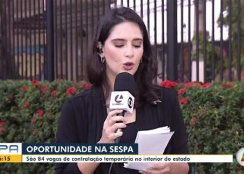 Sespa e Ophir Loyola abrem processos seletivos para mais de 160 vagas de níveis médio e superior; saiba como participar | Pará