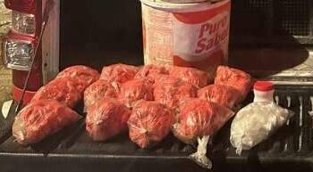 Suspeito de tráfico é preso e 500 papelotes de cocaína são apreendidos em Icoaraci | Polícia