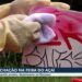 Suspeitos de pichar área tombada na Cidade Velha são identificados, diz Polícia Civil | Pará