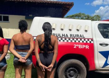 Três mulheres são presas e drogas apreendidas em São Francisco do Pará | Polícia