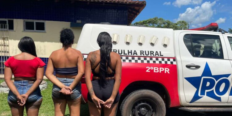 Três mulheres são presas e drogas apreendidas em São Francisco do Pará | Polícia