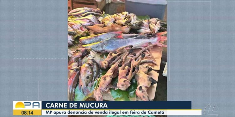 VÍDEOS: BDP de terça-feira, 8 de julho de 2025