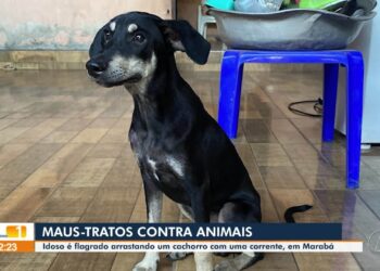 VÍDEOS: JL1 de sexta-feira, 11 de julho de 2025