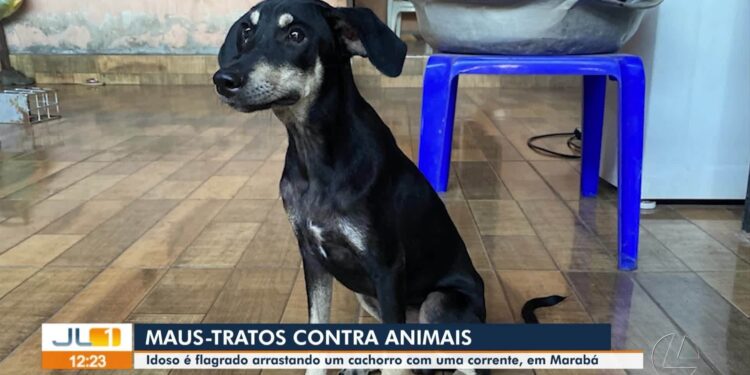 VÍDEOS: JL1 de sexta-feira, 11 de julho de 2025