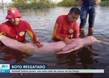 VÍDEOS: JL2 de sábado, 19 de julho de 2025