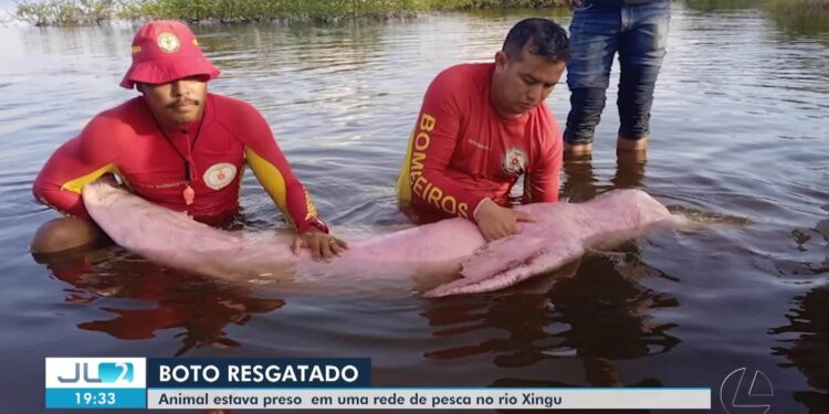 VÍDEOS: JL2 de sábado, 19 de julho de 2025